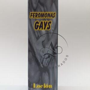 Feromonas Gay